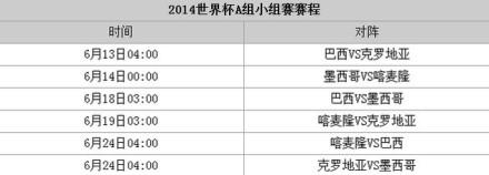 2014年世界杯:巴西队