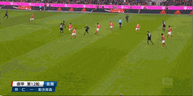 GIF 4.9M