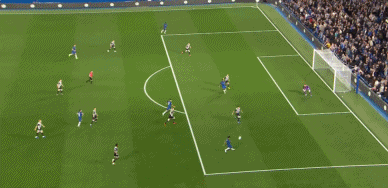 GIF 5.0M