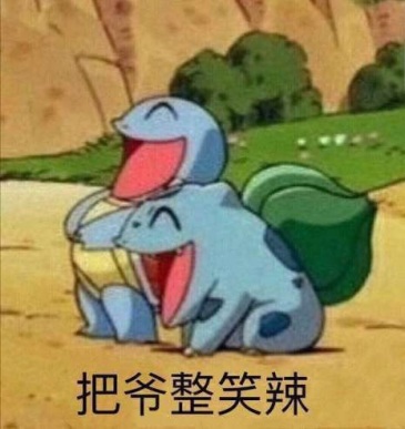 求一下这个龟龟的图片
