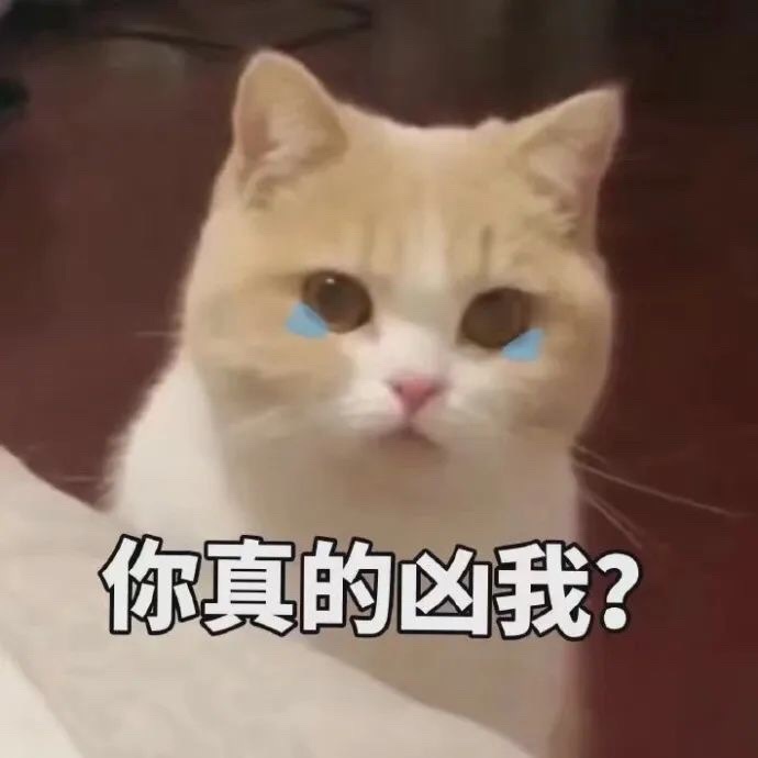 分享一些萌萌的撩妹表情包