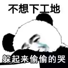 有没有老哥有这种工地的表情包,最近在监工,笑死我了