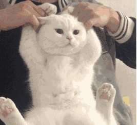 老哥们,求几张安慰妹子的表情包