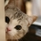 RainKa