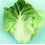 �Ұ���ײ�~
