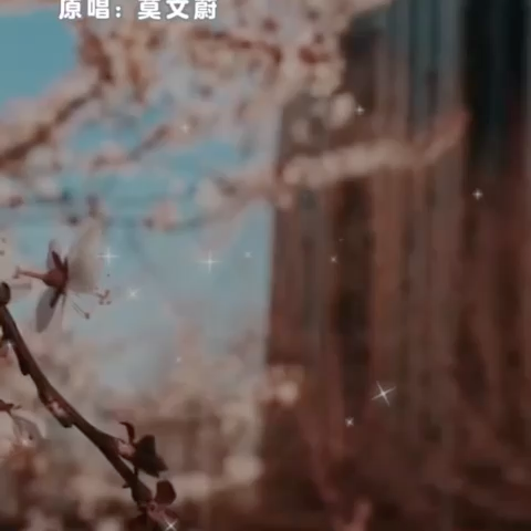 video-poster
