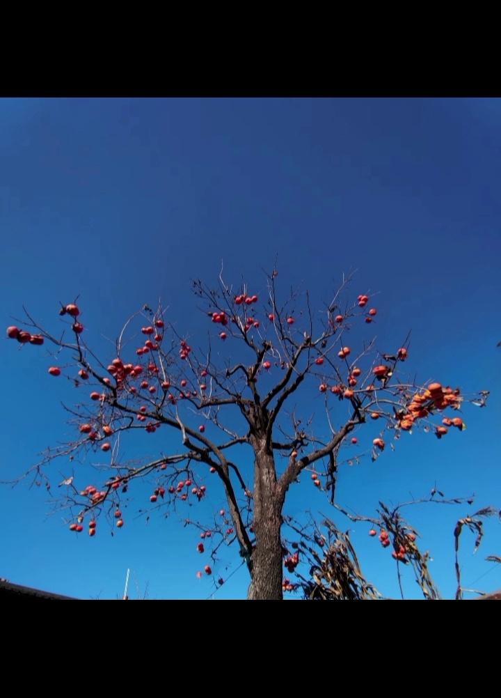video-poster
