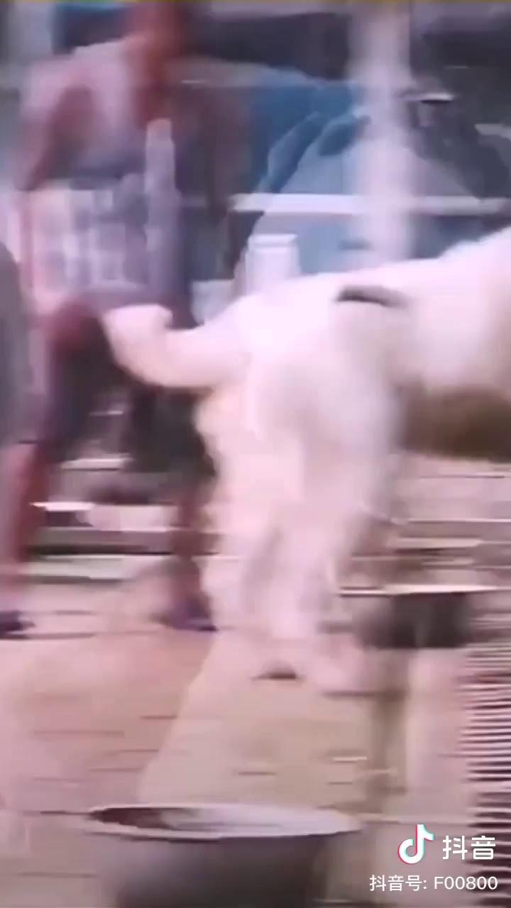 video-poster