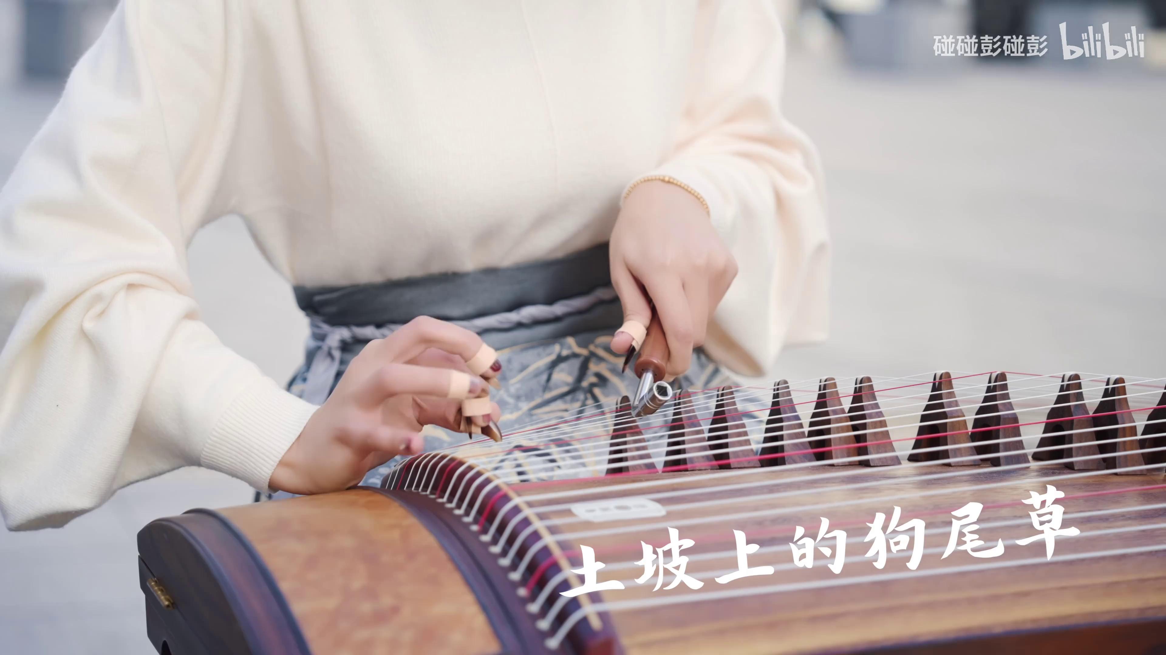 【古筝|土坡上的狗尾草】对你的思念震耳欲聋