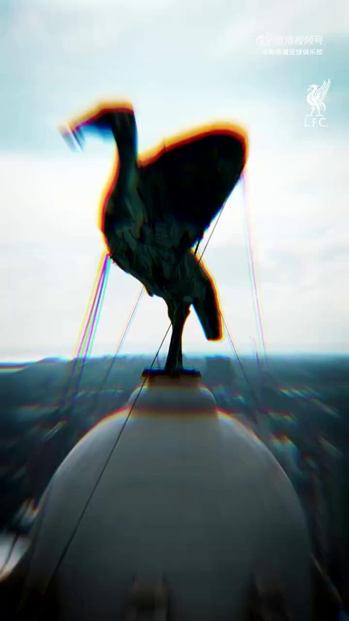 video-poster