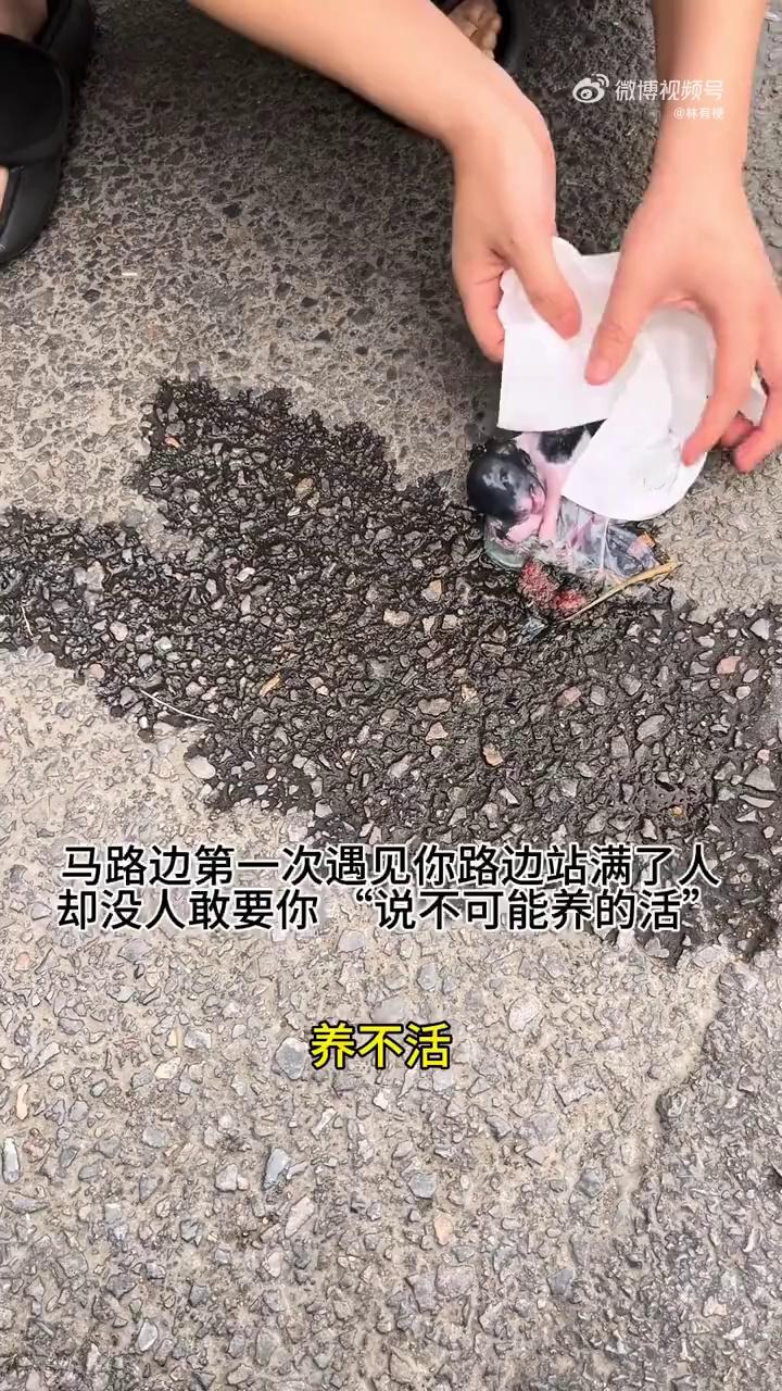 video-poster