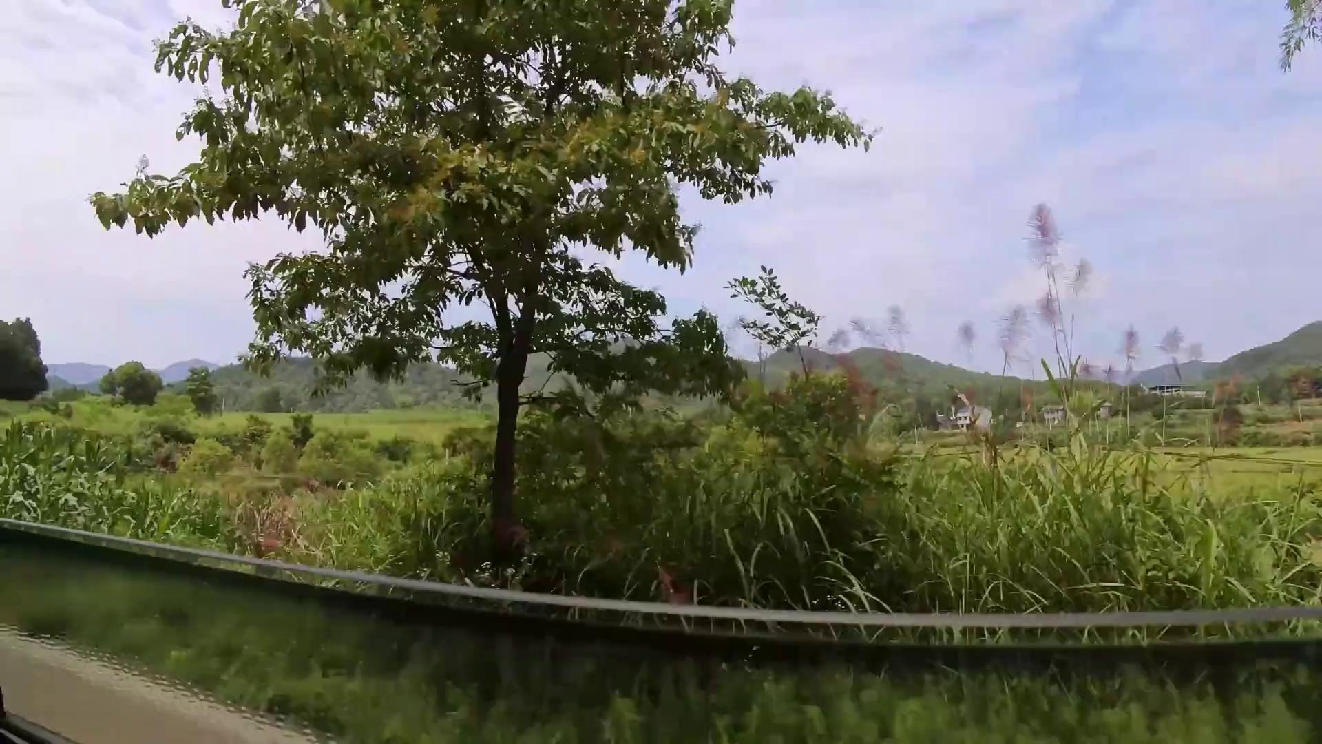 video-poster