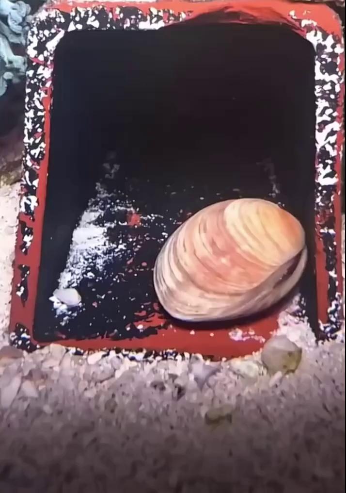 video-poster