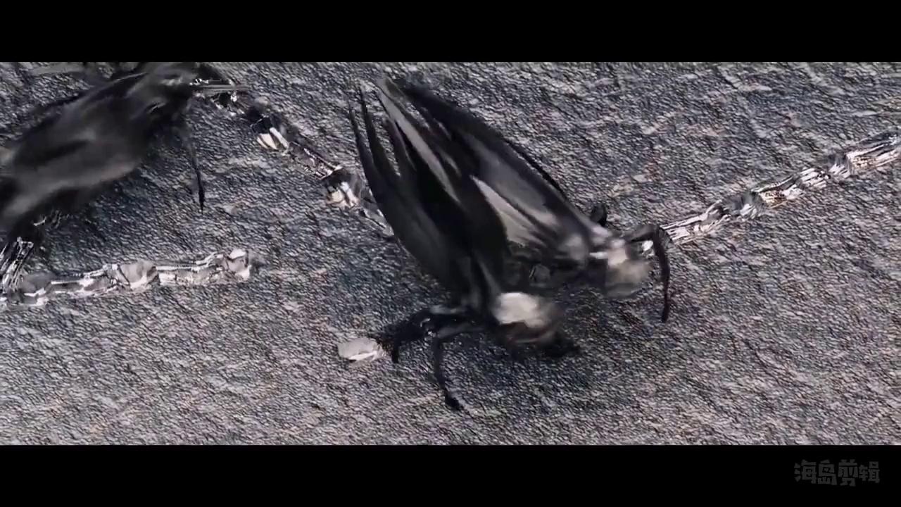 video-poster