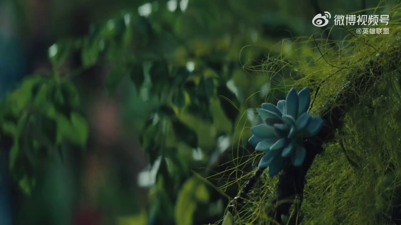 video-poster