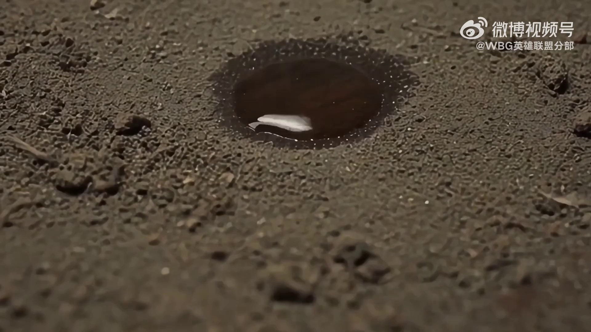 video-poster