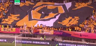 GIF 3.6M