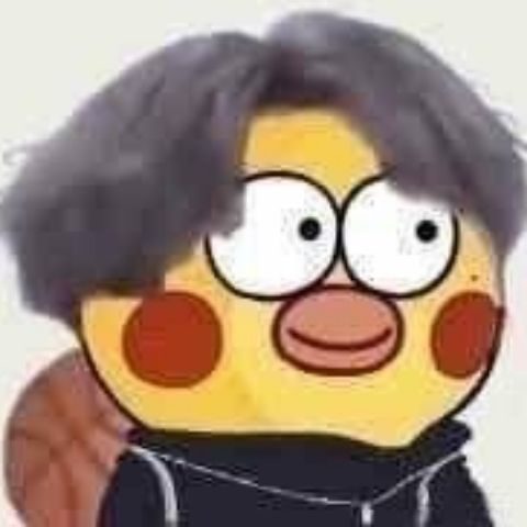 谁有蔡徐坤小黄鸡表情原图?