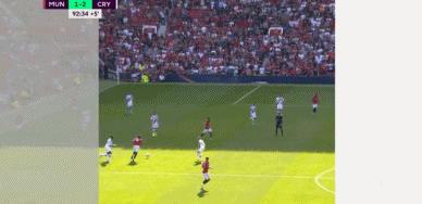 GIF6.3M