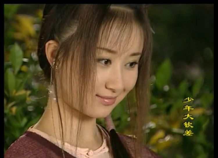 少年大钦差——陈文静