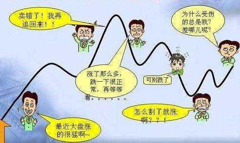 散户怎样炒股才能赚钱？在线等