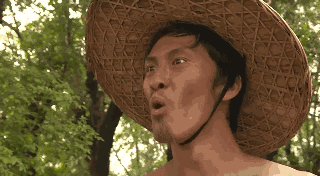 哪位大哥有刘海柱的表情包啊跪求了