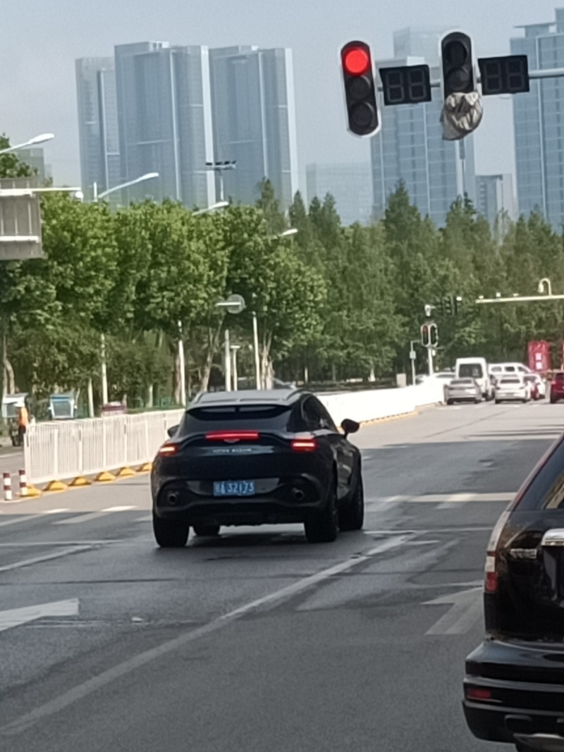 这个阿斯顿马丁suv的消费税是什么 虎扑