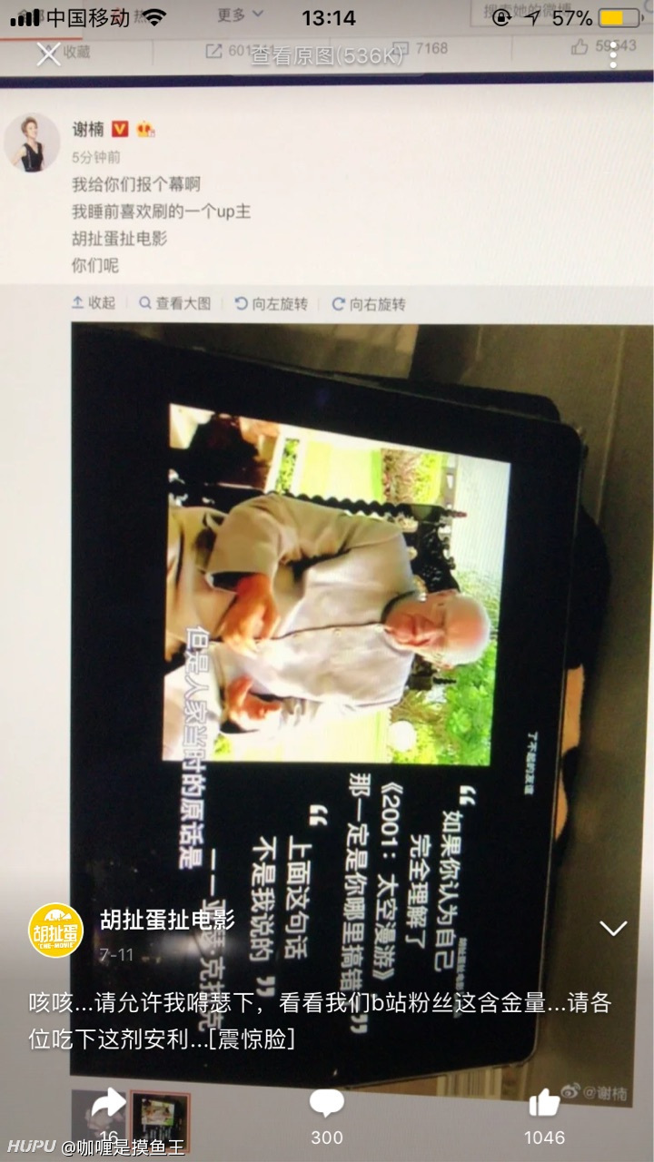 有人看b站的胡扯蛋扯电影的嘛 真的是一个大宝藏啊 虎扑 有人看b站的胡扯蛋扯电影的嘛 真的是一个大宝藏啊 虎扑