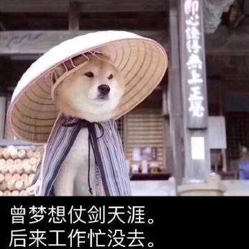 曾梦想仗剑走天涯,去看一看世界的繁华.