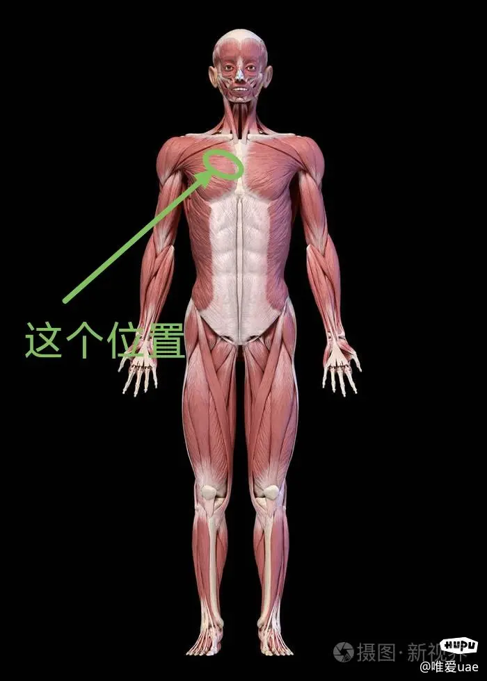 有没有医生呀,右边胸口疼是咋回事?