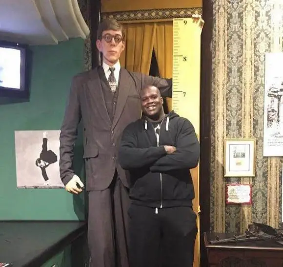 人类史上身高最高的人