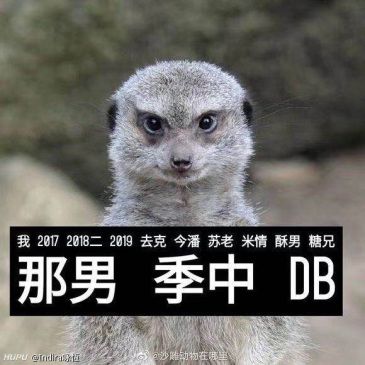 doinb现在算不算是lpl最佳的中单了?