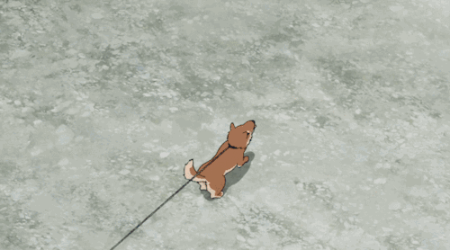 500_278gif 动态图 动图