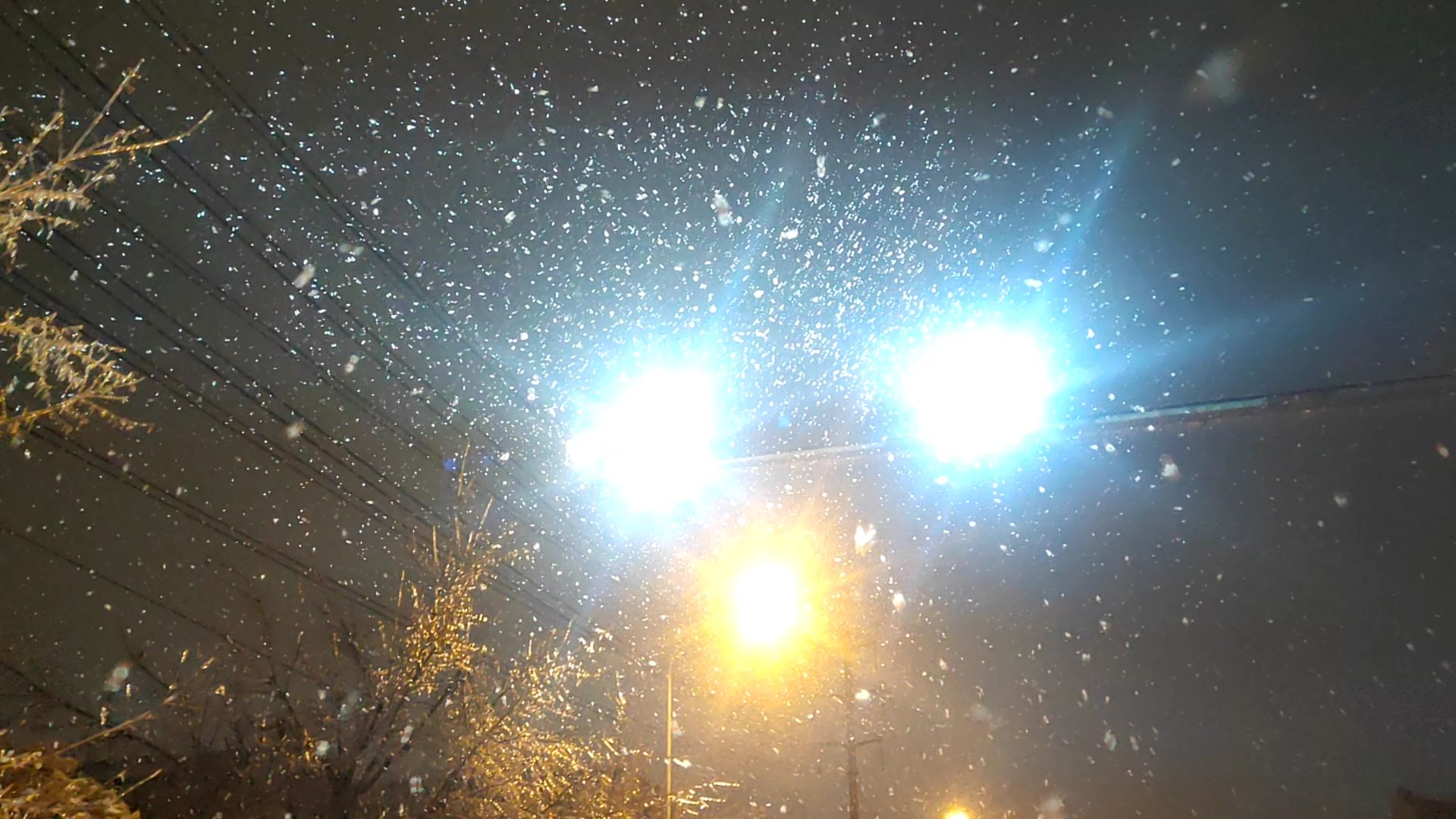 本南方人想见识下北方的大雪纷飞