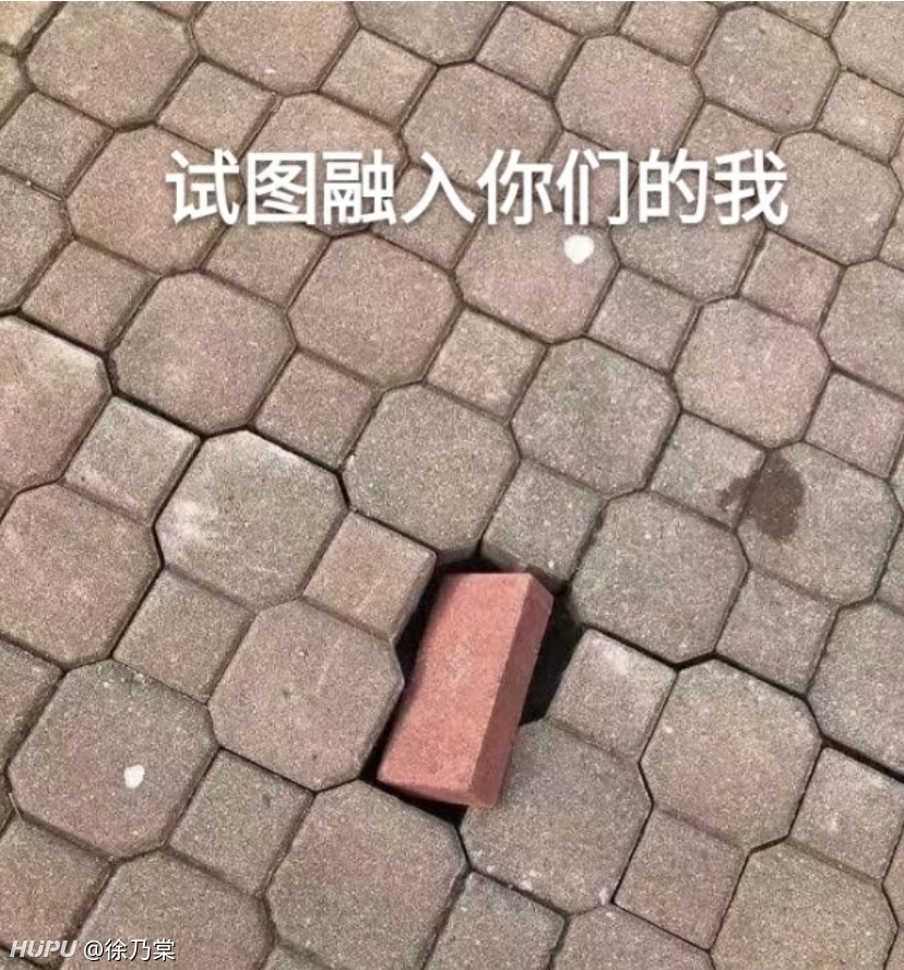 兄弟们找个表情包,惯我一次 - 步行街主干道 - 虎扑社区