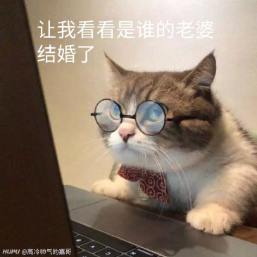 娱乐资讯 新垣结衣与星野源结婚 虎扑