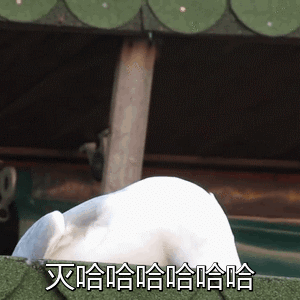 哪位哥哥有这个鹅仰天笑无字幕的gif 还有鸭子笑得gif 找了好久了555 步行街主干道 虎扑社区 哪位哥哥有这个鹅仰天笑无字幕的gif 还有鸭子笑得gif 找了好久了555 步行街主干道 虎扑社区