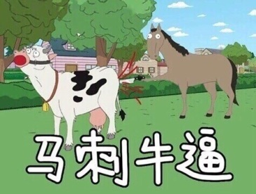 求一张马刺牛逼的图