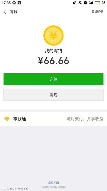 大家看我的微信余额什么水平 tx