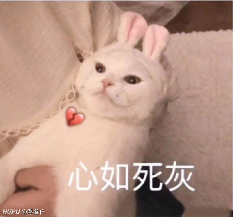 驭帅十一尺码问题求解