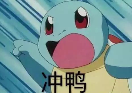 杰尼龟整挺好表情包原图