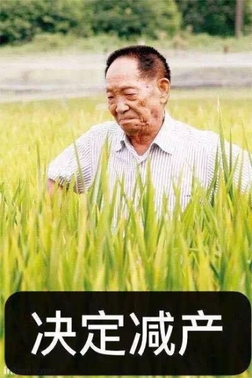 jrs,求一个还是吃太饱了的图片,万分感谢