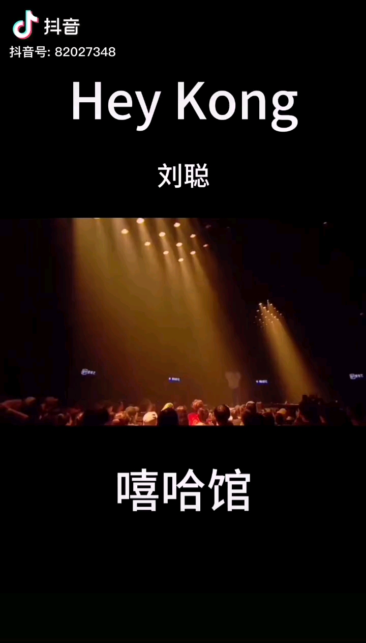 刘聪的巅峰之作heykong什么水平