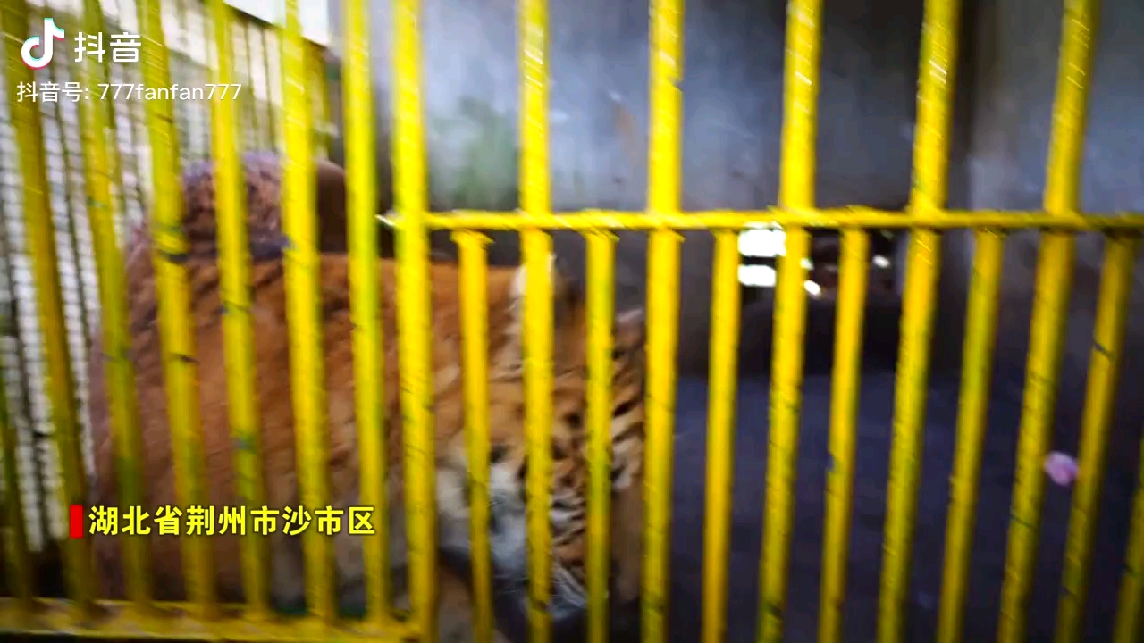 video-poster