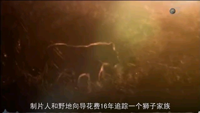 video-poster