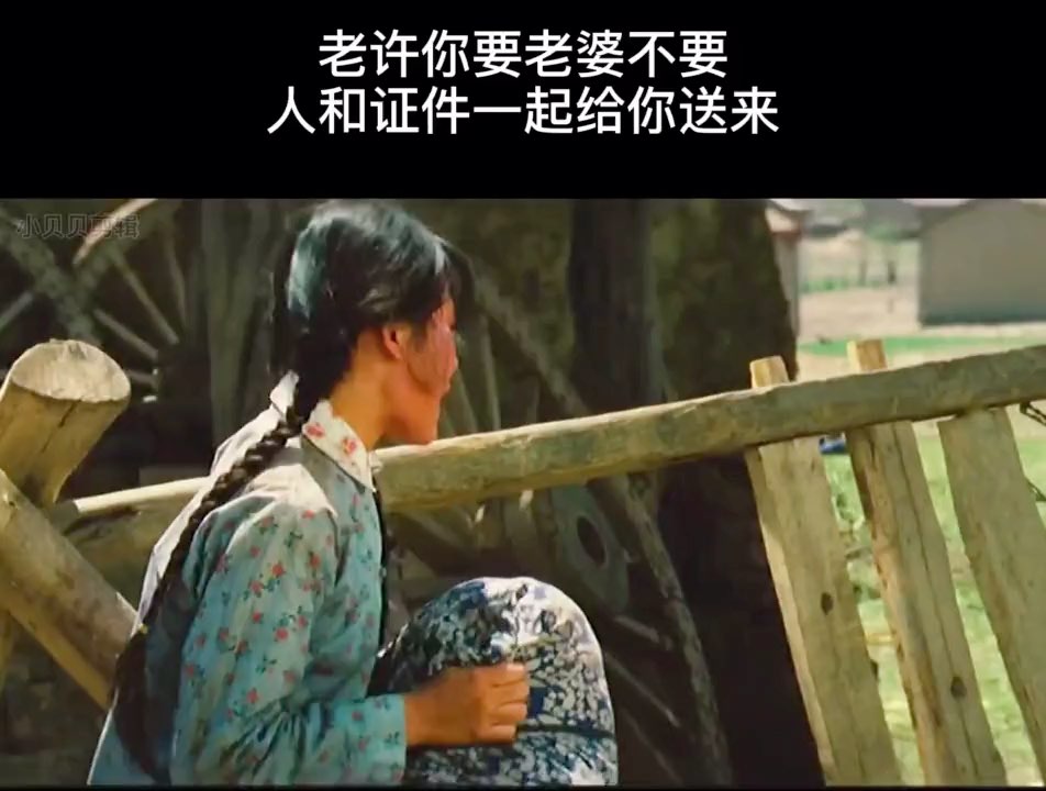 老许你要老婆不要