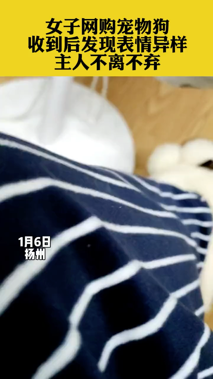 video-poster