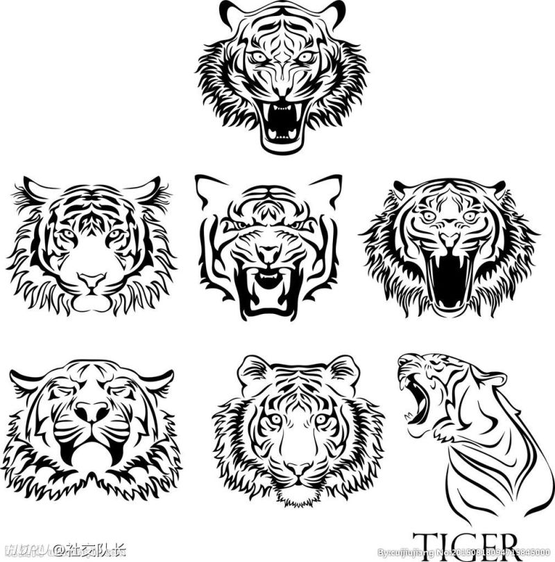 新疆队logo换成虎头各位觉得怎么样?