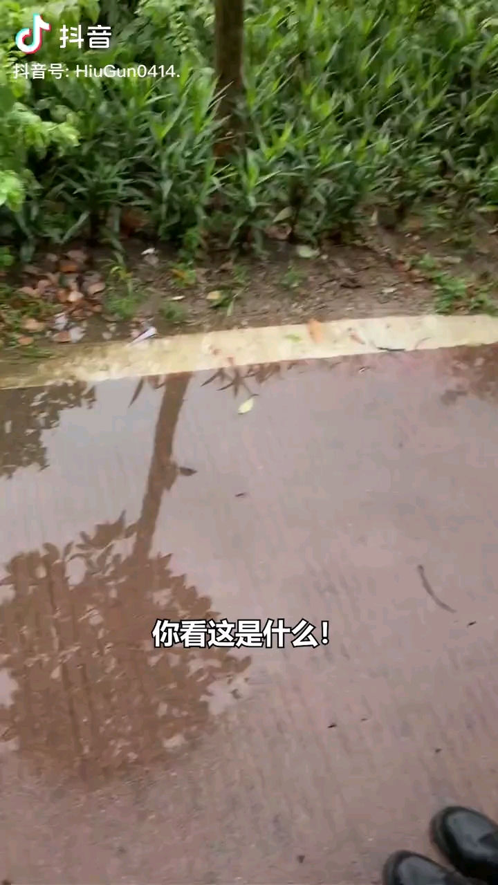 video-poster