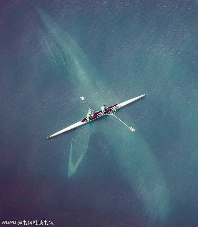 比起深海恐惧症 其实我更严重的是 Submechanophobia 水下人工物恐惧症 虎扑